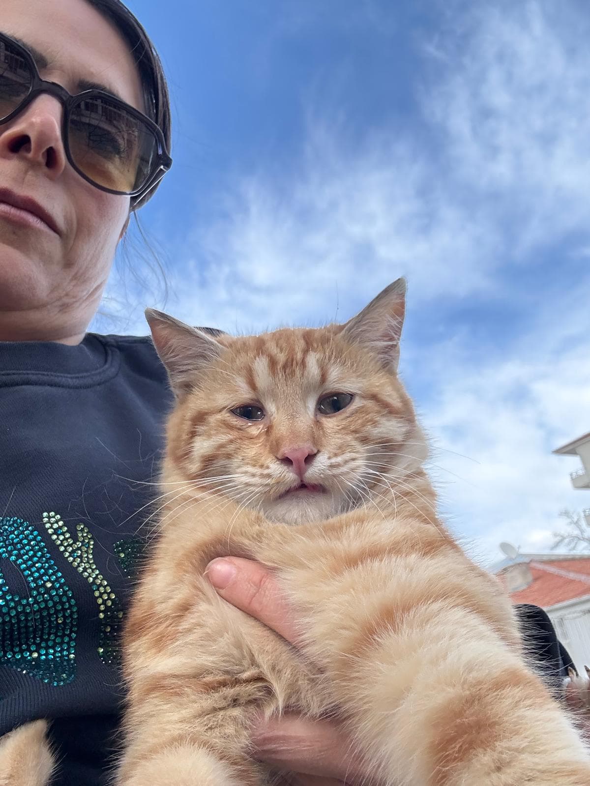 Bir kadının kucağında tuttuğu sağlıklı turuncu kedi, arka planda gökyüzü